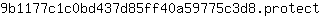 9***t