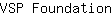 V***n