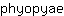 p***e