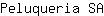 P***A