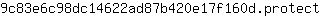 9***t