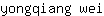 y***i