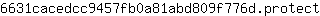 6***t