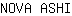 N***I