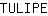 T***E