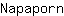N***n
