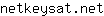n***t
