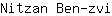 N***i