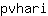 p***i
