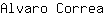 A***a