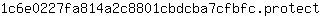 1***t