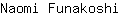 N***i