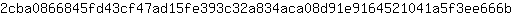 2***b