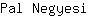 P***i