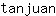 t***n