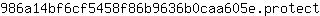 9***t