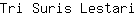 T***i