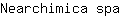 N***a