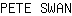 P***N