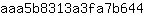 a***4