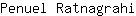 P***i