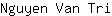 N***i