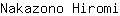 N***i