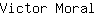 V***l