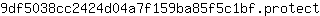 9***t