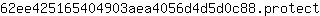 6***t
