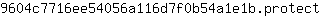9***t
