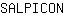 S***N