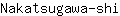N***i