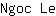 N***e