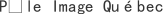 P***c