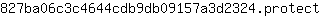 8***t