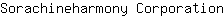 S***n