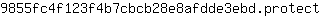 9***t