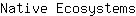 N***s