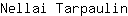 N***n