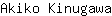 A***a