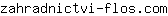 z***m