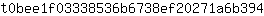 t***4