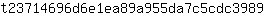 t***9