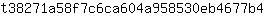 t***4