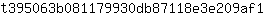 t***1