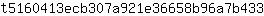 t***3