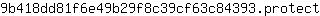 9***t