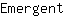 E***t