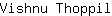 V***l